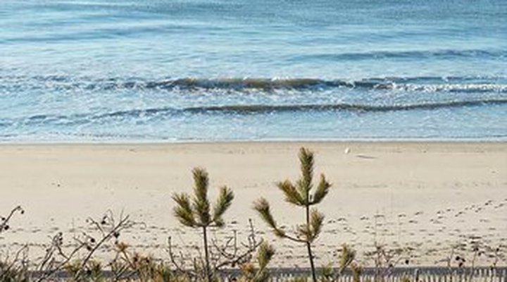 Gurney's Montauk Resort & Seawater Spa