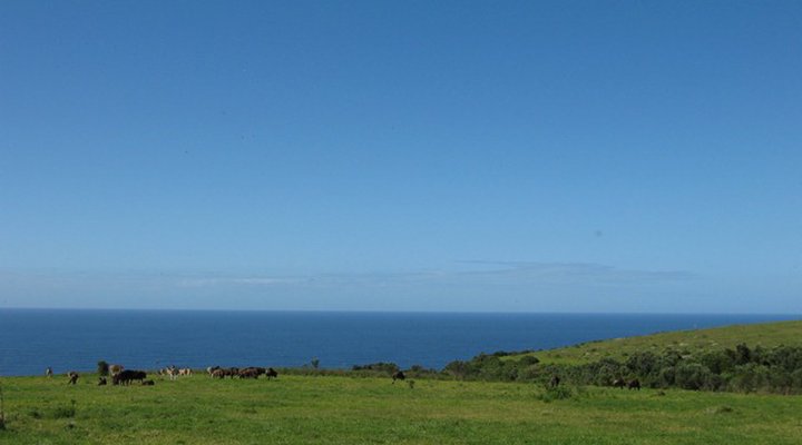 Serendipity Coastal Lodge