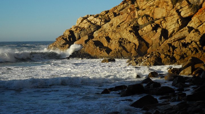 Serendipity Coastal Lodge