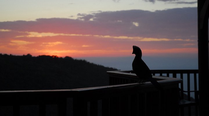 Serendipity Coastal Lodge