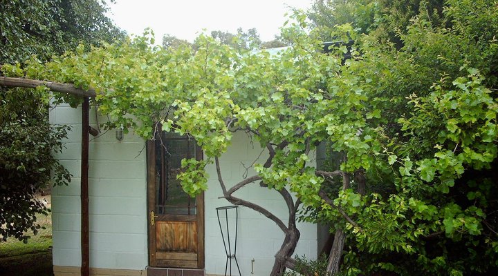 Galilee Cottages @ Mara Farm