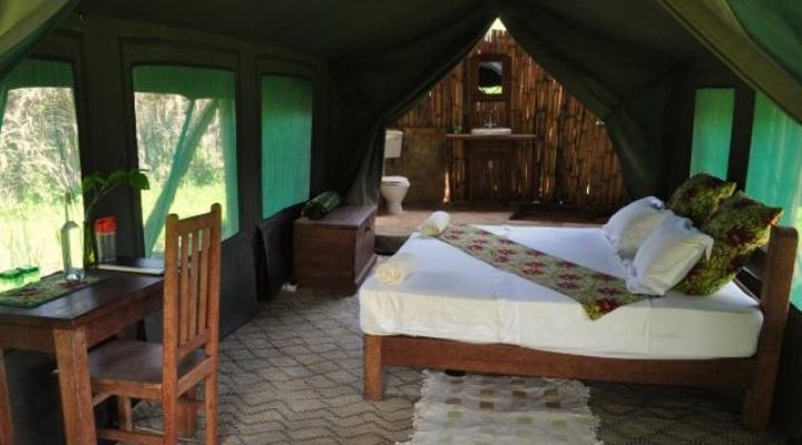  Udzungwa Forest Camp (Hondo Hondo) 