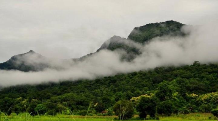  Udzungwa Forest Camp (Hondo Hondo) 