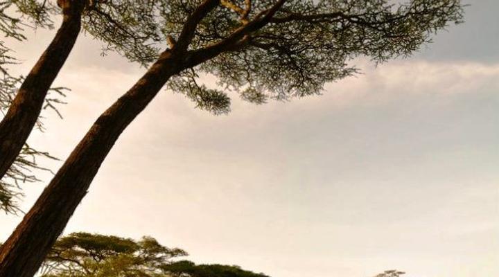 Angata Migration Camp