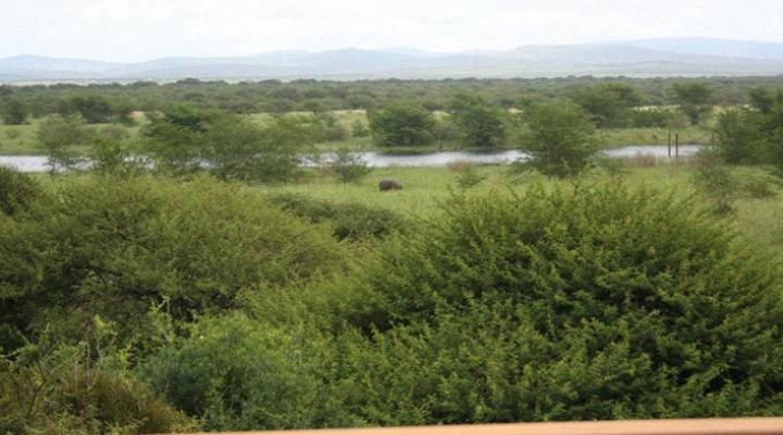 Royal Jozini Siqalo Lodge