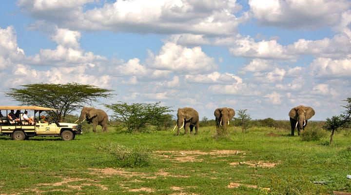 Lake Manyara Ranch Tented Camp