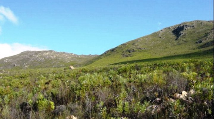 Rooiheuwel-Noord Accommodation