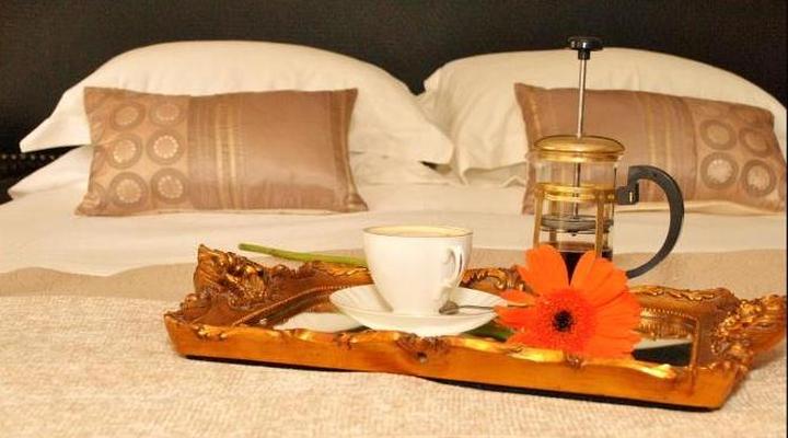 Under Elm Tree Guesthouse