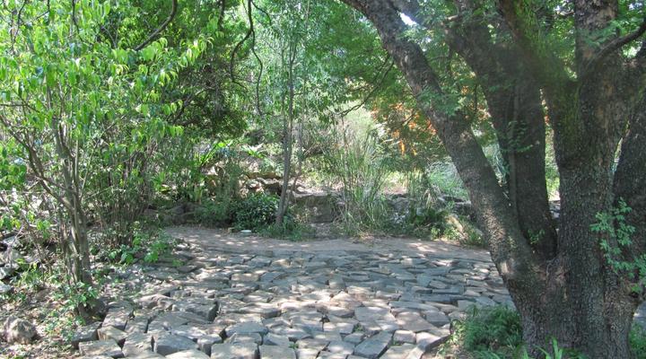 Under Elm Tree Guesthouse