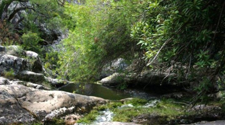 Jongenskloof Country Retreat