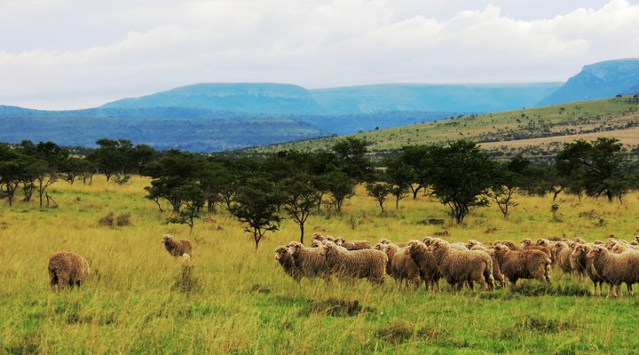 Request Farm Cottage