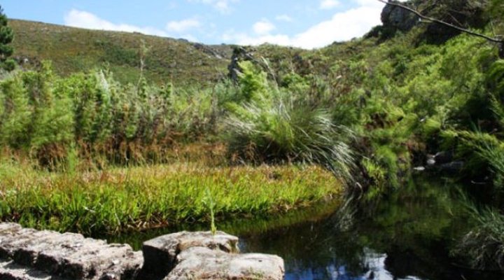 Jongenskloof Country Retreat