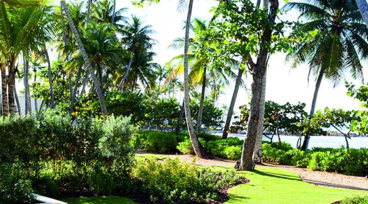 Dorado Beach a Ritz Carlton Reserve