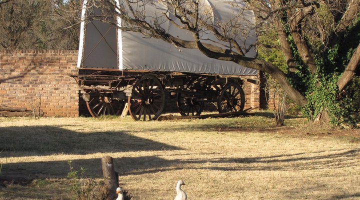 Renaissance Guest Farm