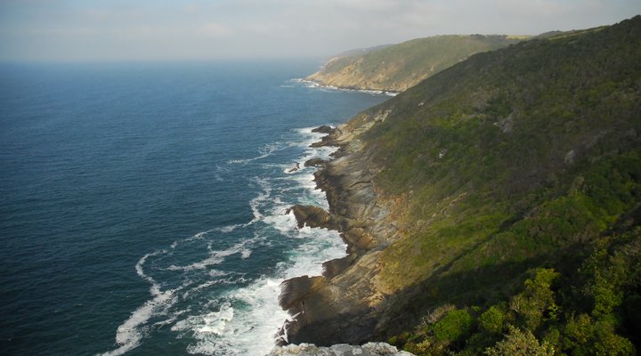 Serendipity Coastal Lodge