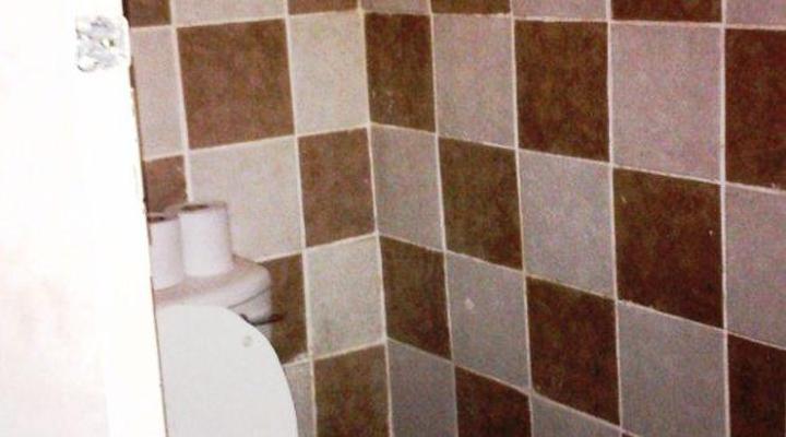 Accoustix Backpackers