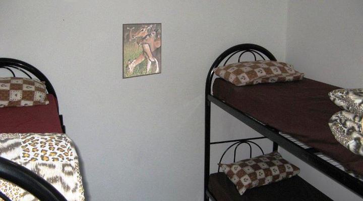 Accoustix Backpackers