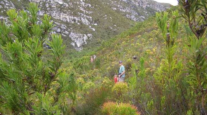 Blinkwater Holiday Flat