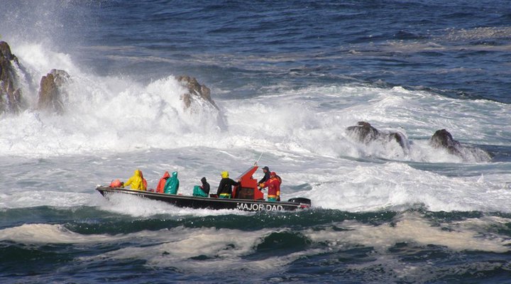 Blinkwater Holiday Flat