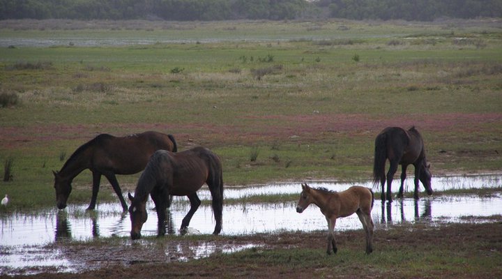 Blinkwater Holiday Flat