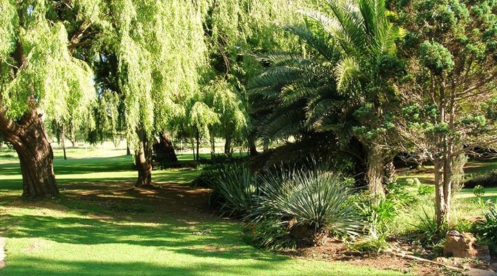 Casselli's Guest House