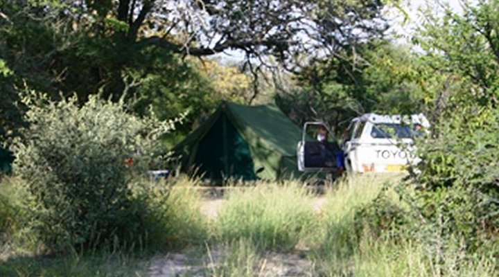 El-Fari Bush Camp
