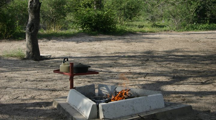 El-Fari Bush Camp
