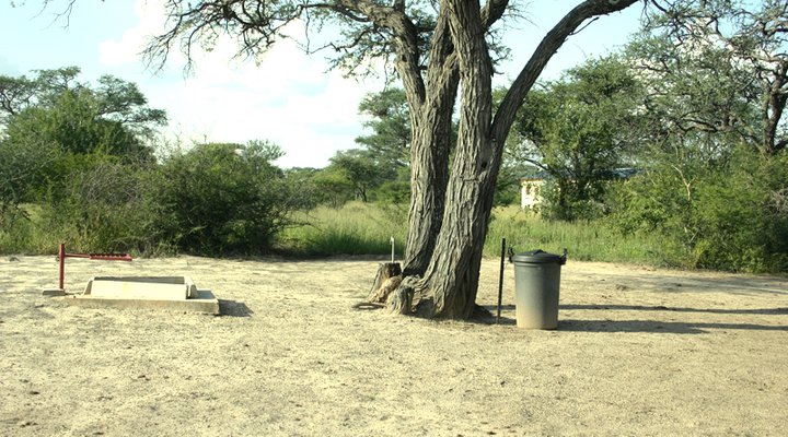 El-Fari Bush Camp