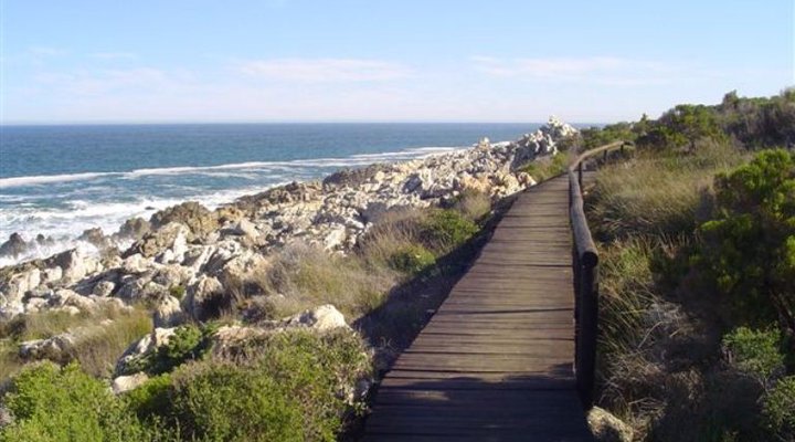 Herd's Cove