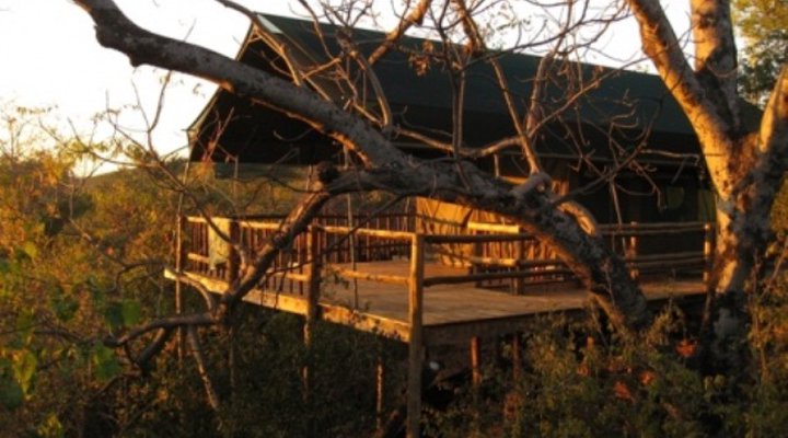 Tshulu Wilderness Camp