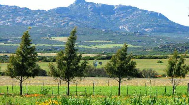 Grootvalleij Farm Accommodation- Blommehuisie