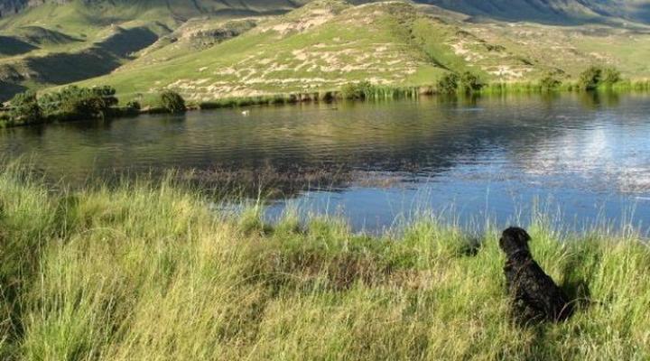 Reedsdell Country Guest Farm