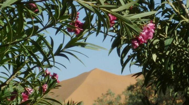 Auberge Les Pyramides Hotel