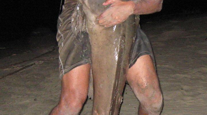 Sundowner Zambezi Lodge