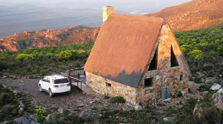 Klipspringer McGregor