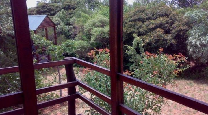 De Wildt 4x4 Game Park