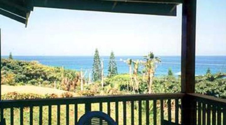 The Beach House and Beach Cabin