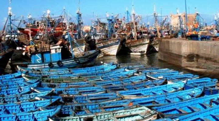 Dar Qawi - Riad by the Sea