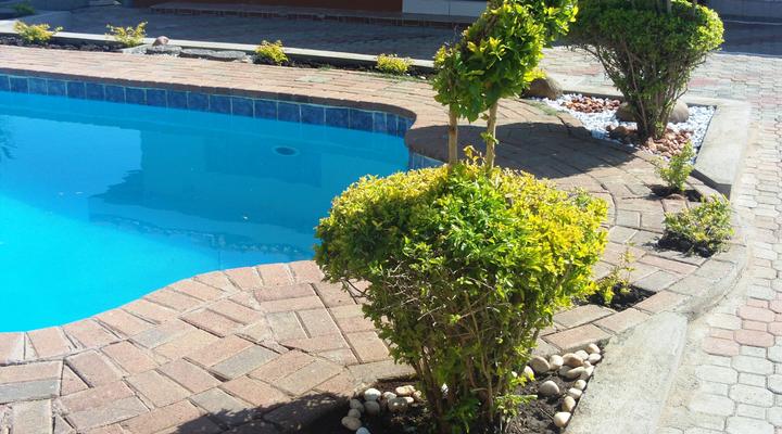 Comfort Palace Guest House