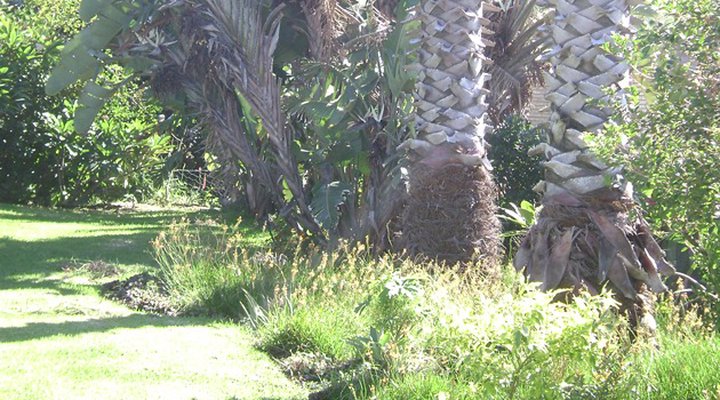 Seashells Guest House