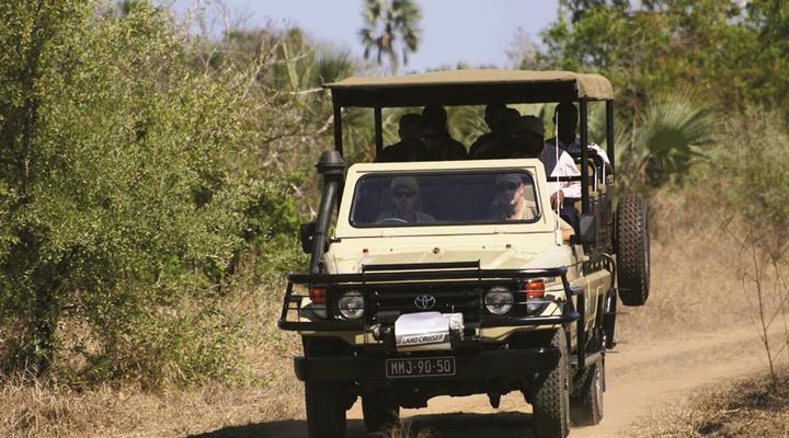 Girassol Gorongosa Lodge & Safari