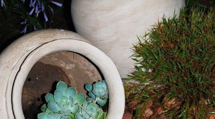 Ca Ira Wellness Retreat