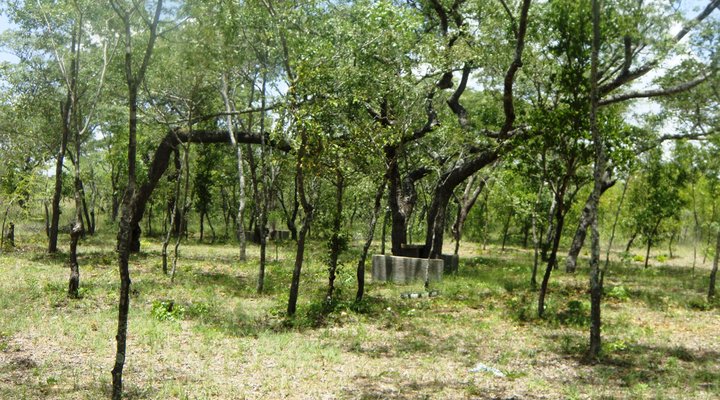 Tshulu Tsha Nabe Country Lodge - Gweru