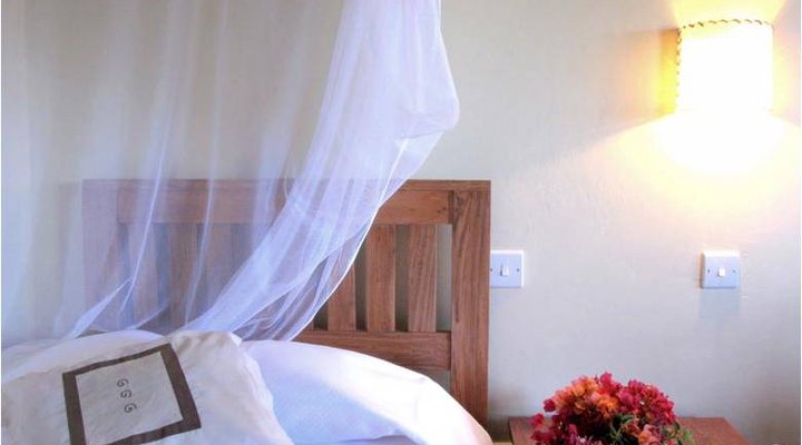 Olga's Italian Corner