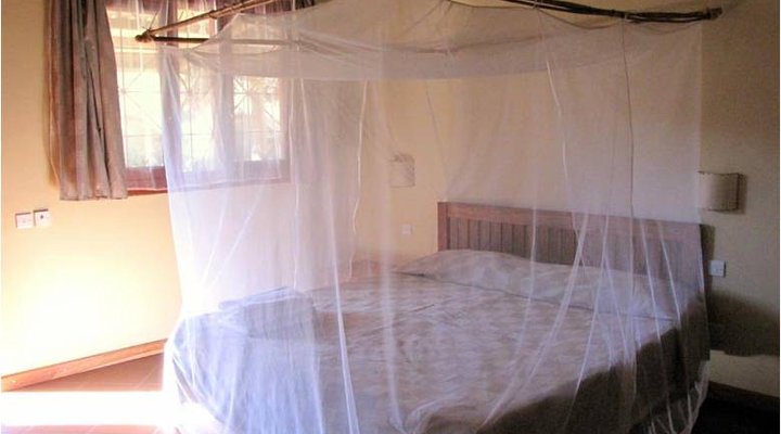 Olga's Italian Corner