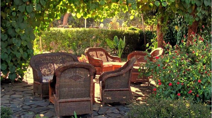 Olga's Italian Corner