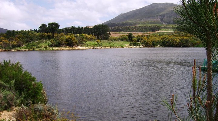 Nuwejaarsrivier B&B