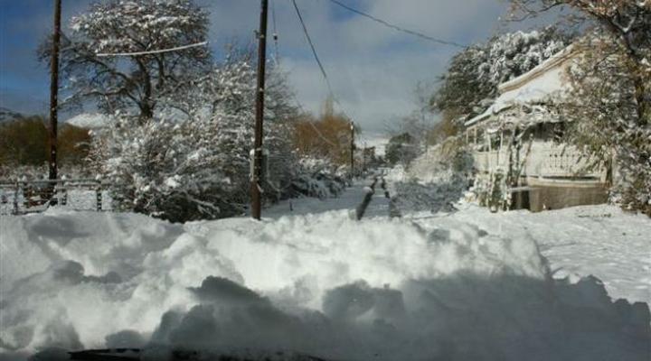 And the Cow Jumped Over the Moon...