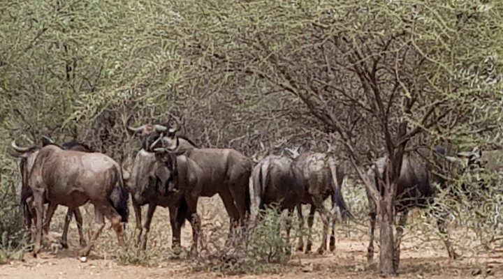 Nageng Lodge Mabalingwe