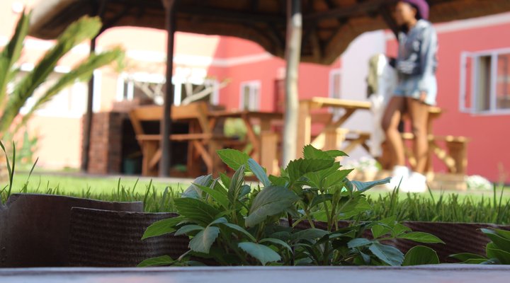 Comfort Gardens Bed and Breakfast